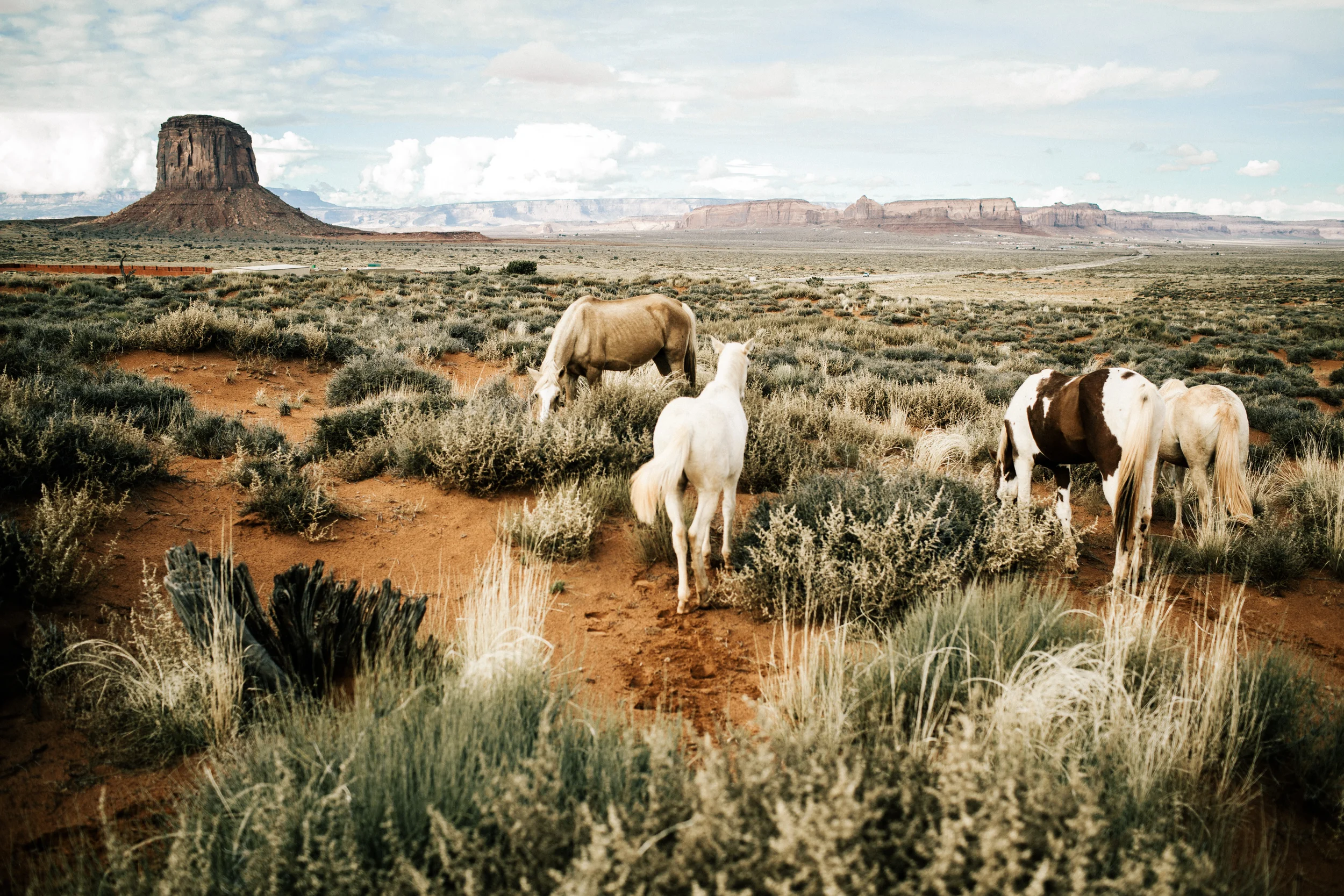JJOHNSON-AMERICAN-SOUTHWEST-18.jpg