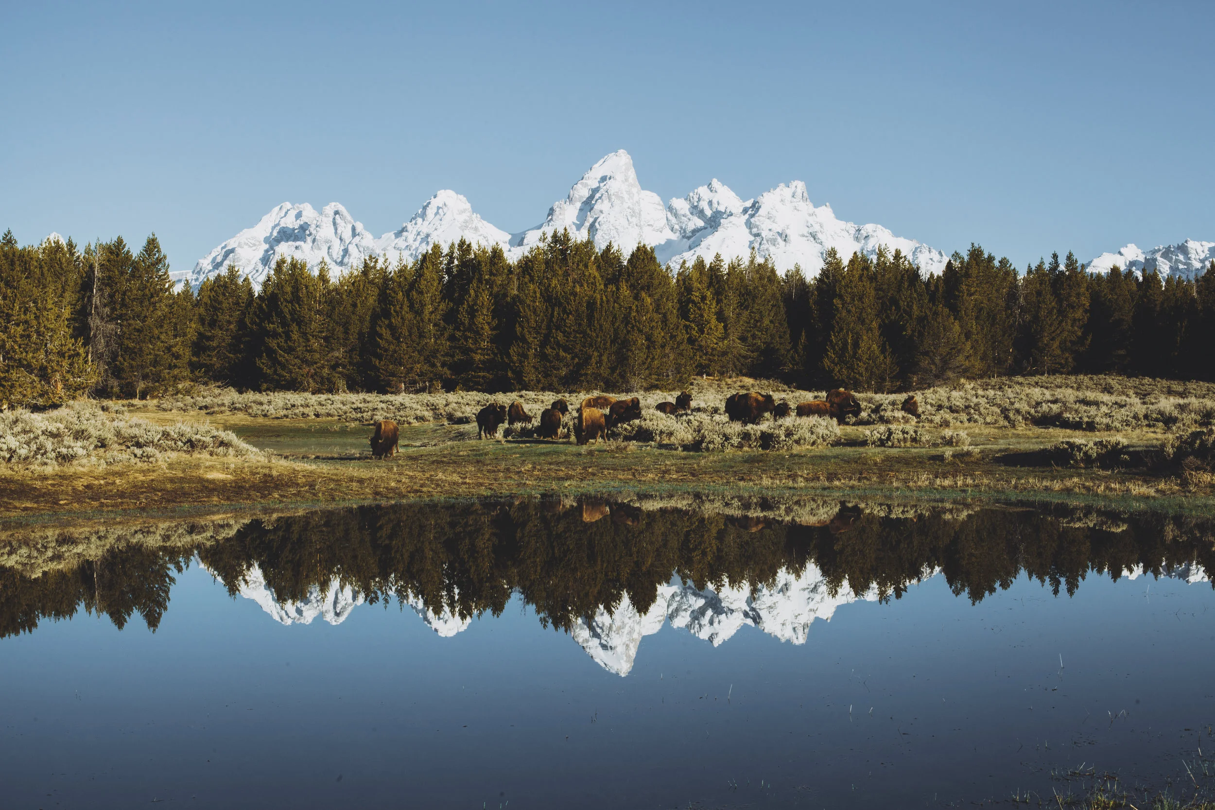 JJOHNSON-WYOMING-PORTFOLIO-015.jpg