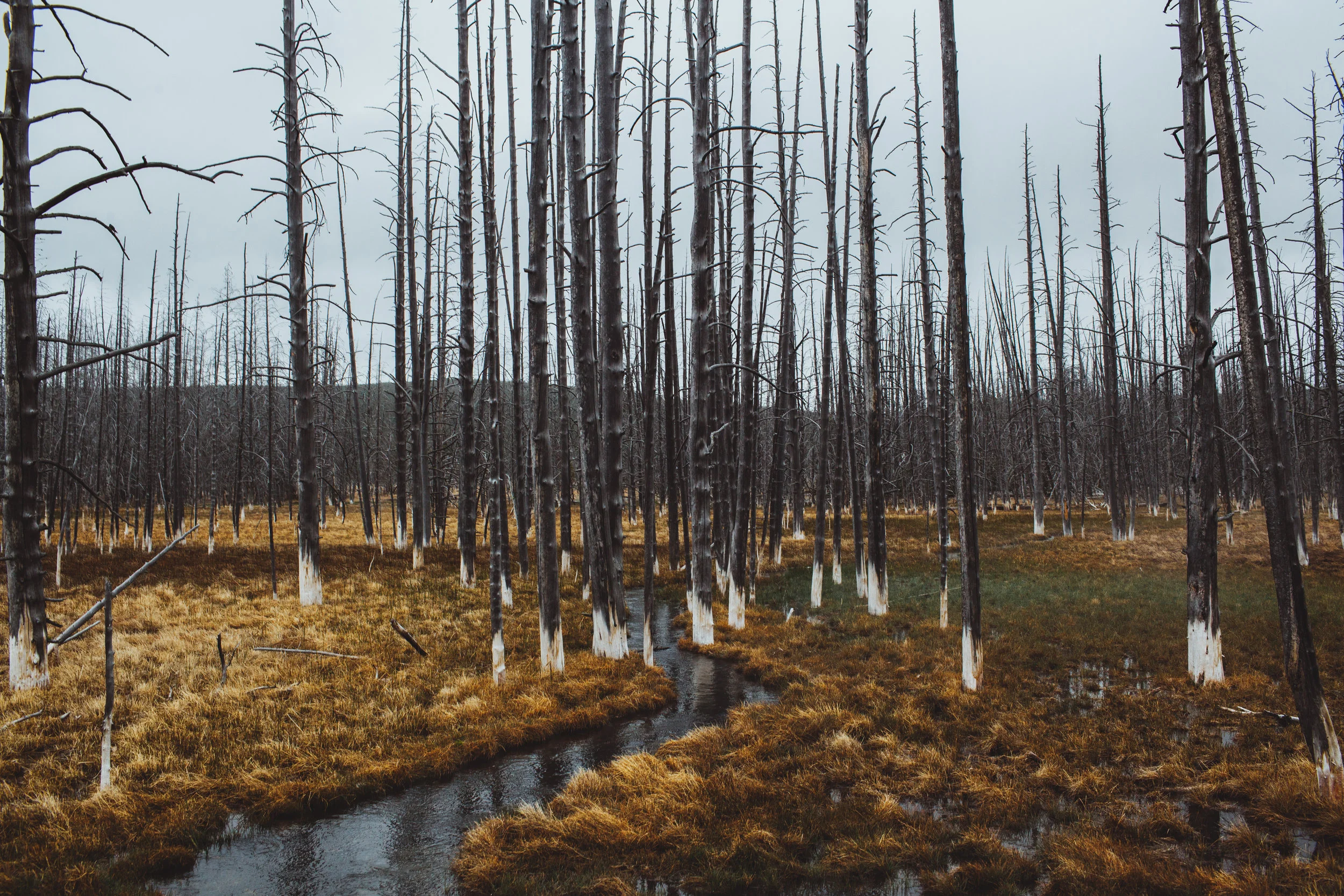 JJOHNSON-WYOMING-PORTFOLIO-037.jpg