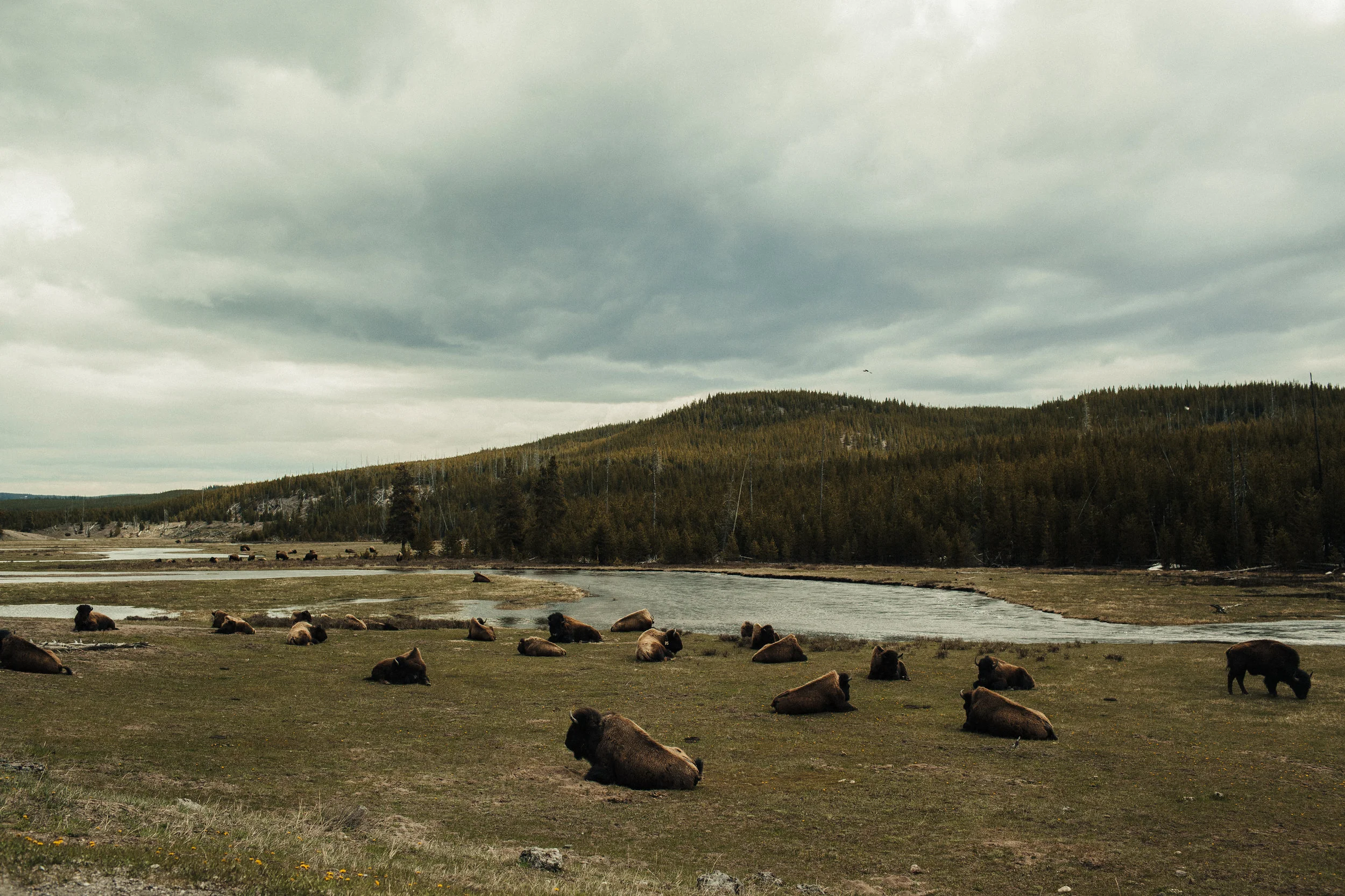 JJOHNSON-WYOMING-PORTFOLIO-050.jpg