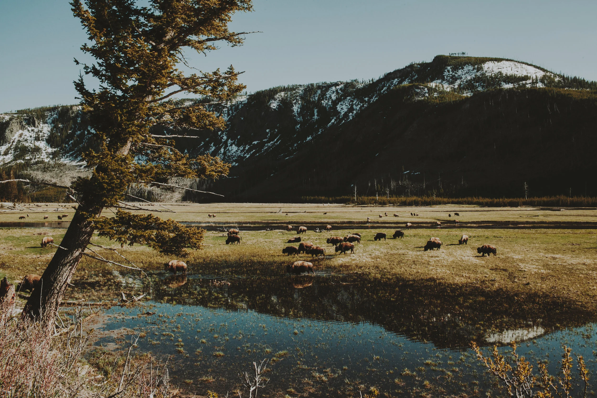 JJOHNSON-WYOMING-PORTFOLIO-071.jpg