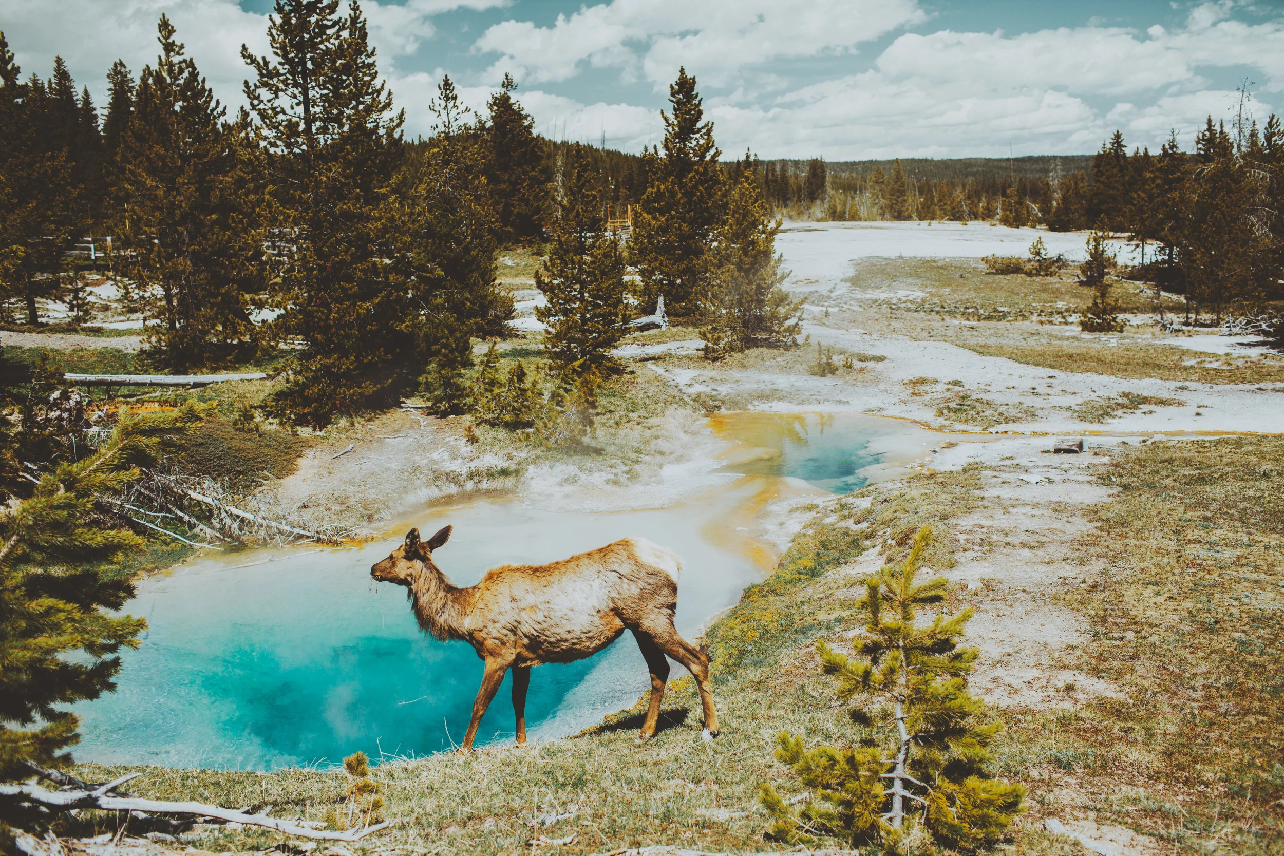 JJOHNSON-WYOMING-PORTFOLIO-086.jpg