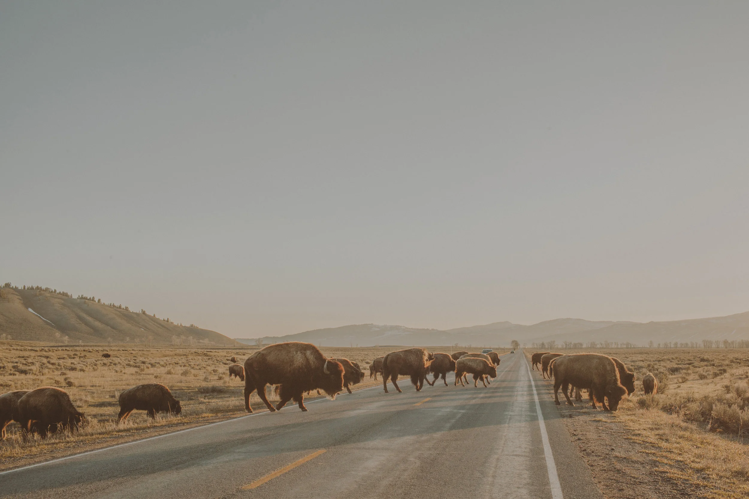 JJOHNSON-WYOMING-PORTFOLIO-014.jpg