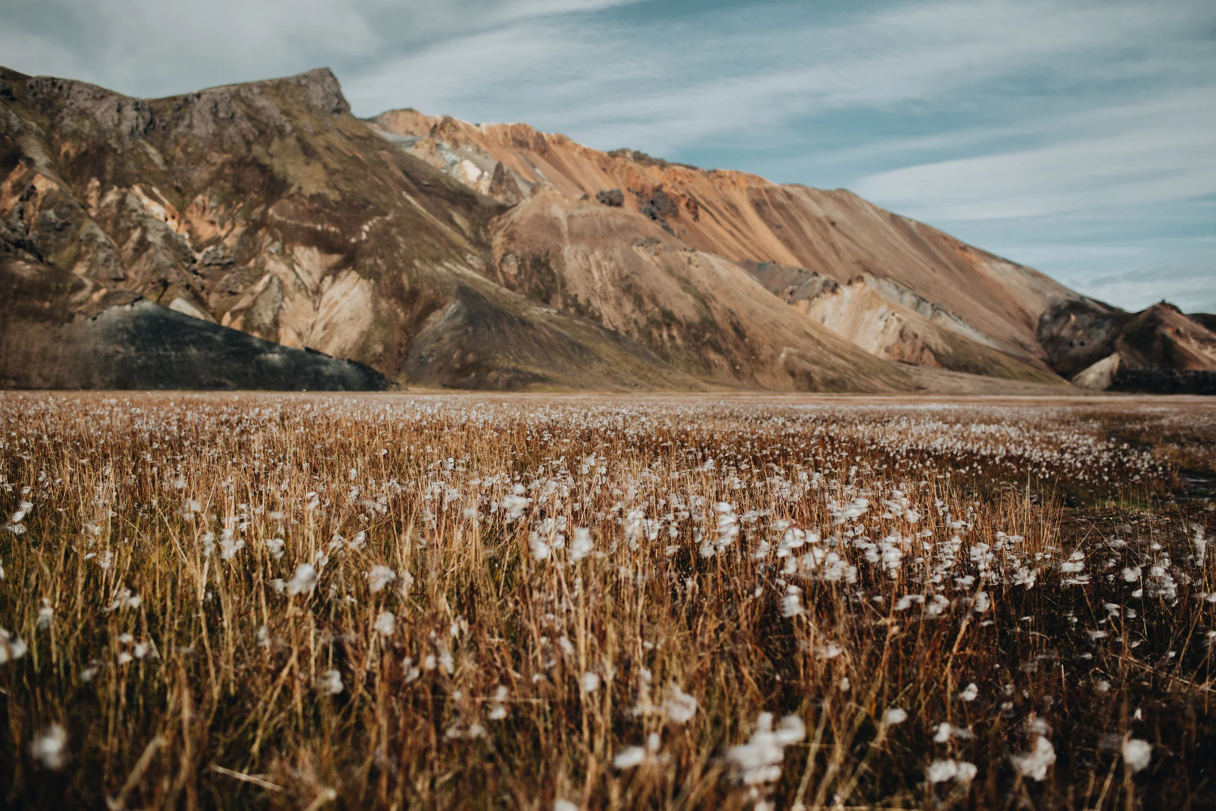 JJOHNSON-ICELAND-843-2.jpg
