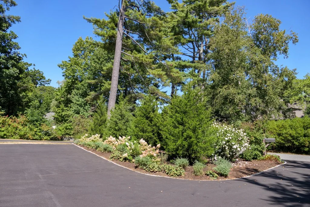  48 Proctor driveway parking 