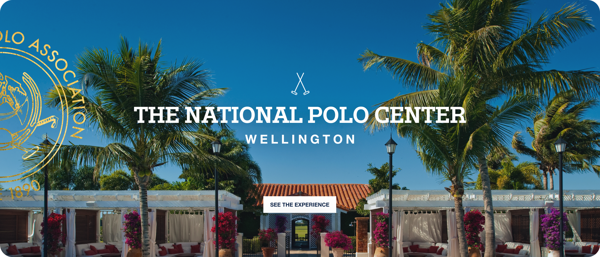 NPC wellington footer B.png