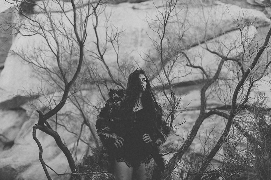 joshuatree-001.jpg