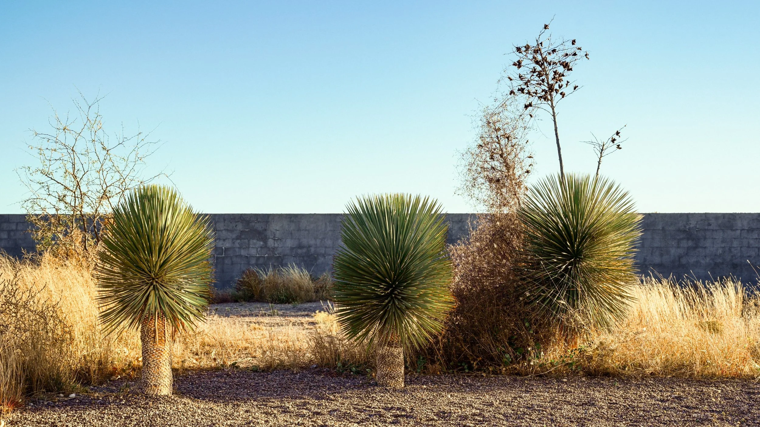 Kyle_Wege - Marfa 67.jpg