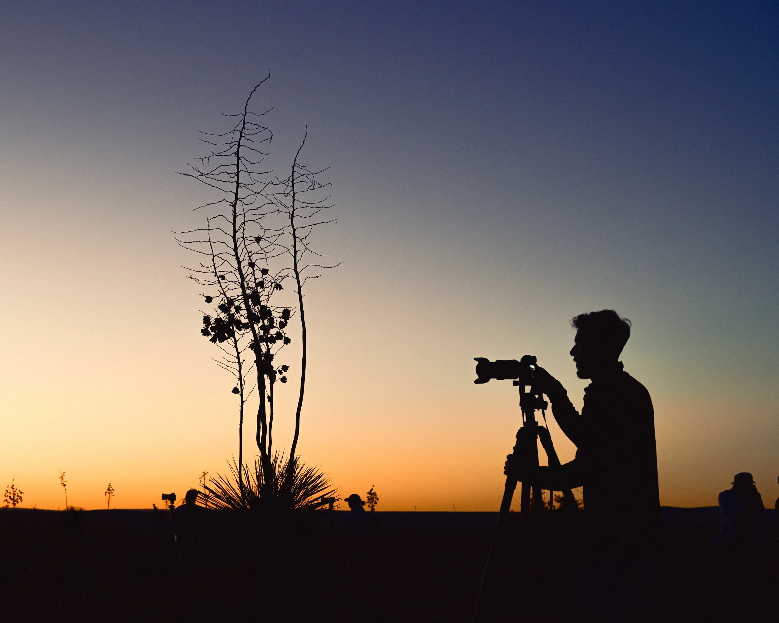 sunset portrait, silhouette portrait, texas sun, texas sunset, photographer silhouette, yucca silhouette, sunset in texas, warm sky photo