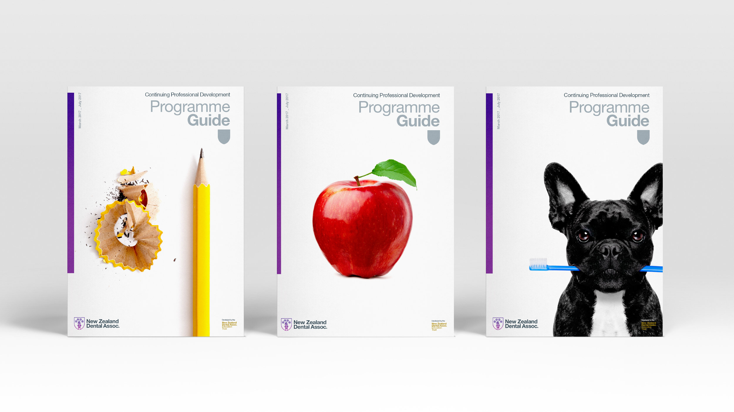 NZDA-Web-2017-Publications-03.jpg