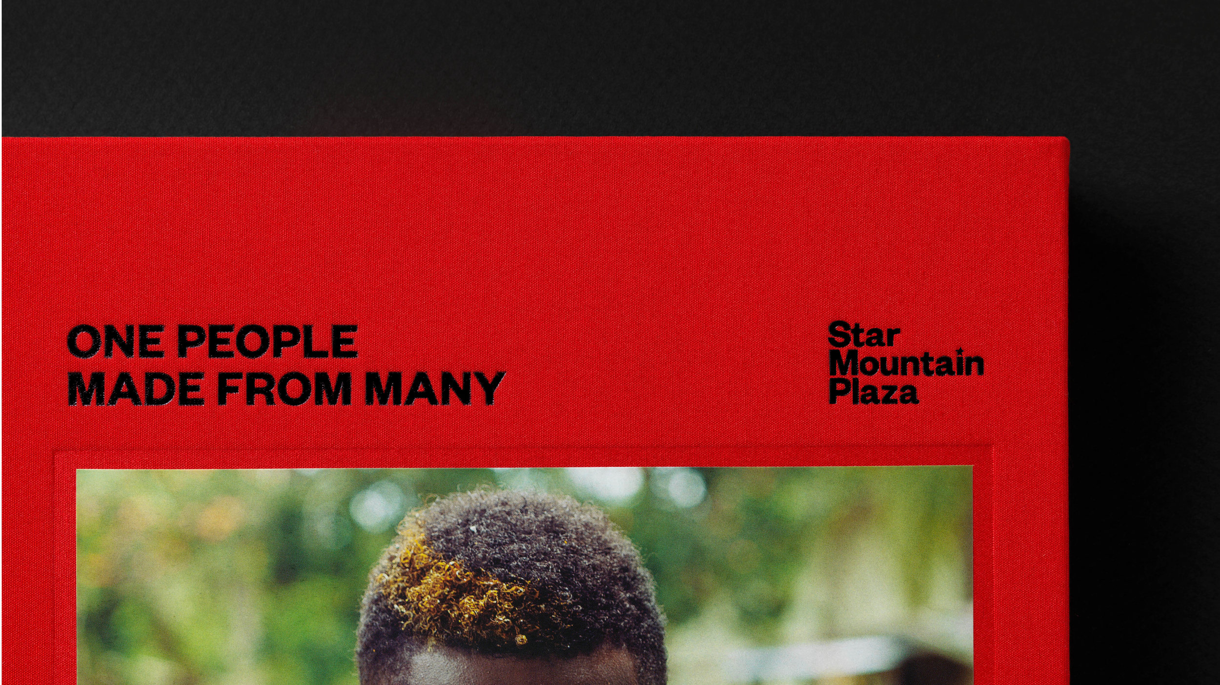 SMP-Book-Website-layout-Dec2018-3.jpg