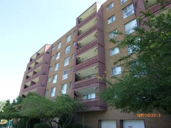 100 PARK AVENUE, UNIT 206, CALUMET CITY, IL
