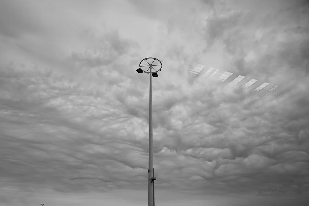 No.2 자연_2019 (네덜란드)