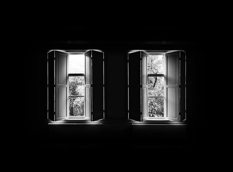 No.1 창_2019 (네덜란드)