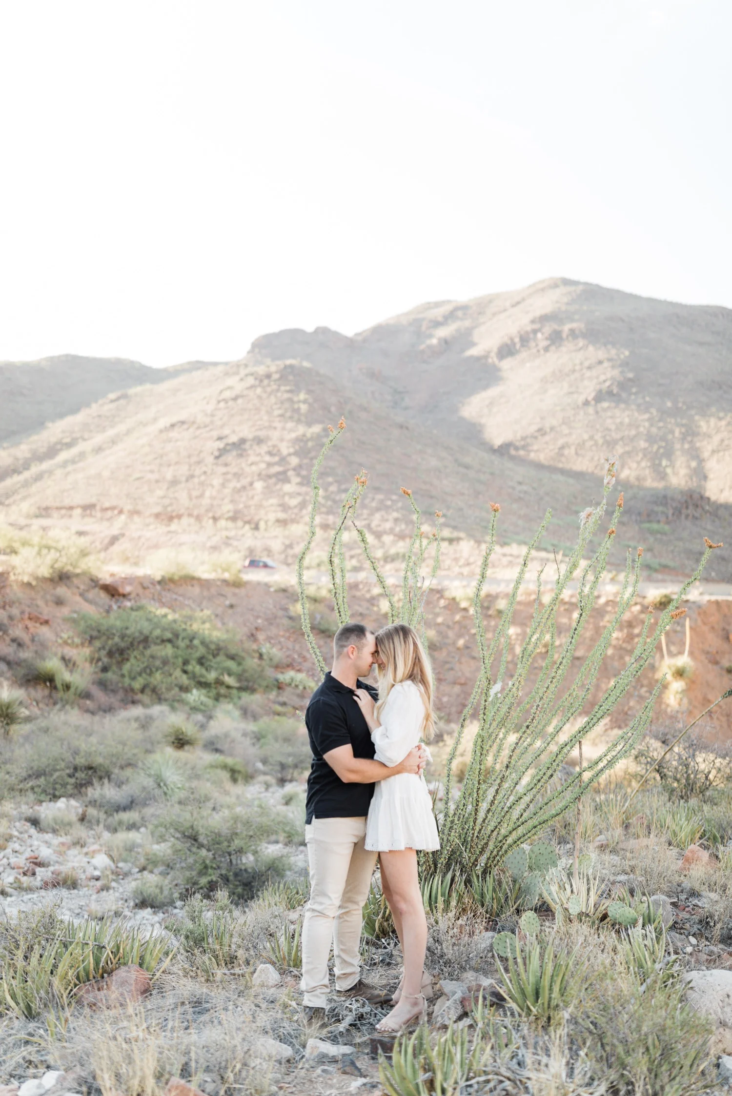 05_Ben-Meg-Sesh-31_meg_photography_session_el_mountains_franklin_paso_wedding_and_ben_gold_photographer_sparrow.jpg