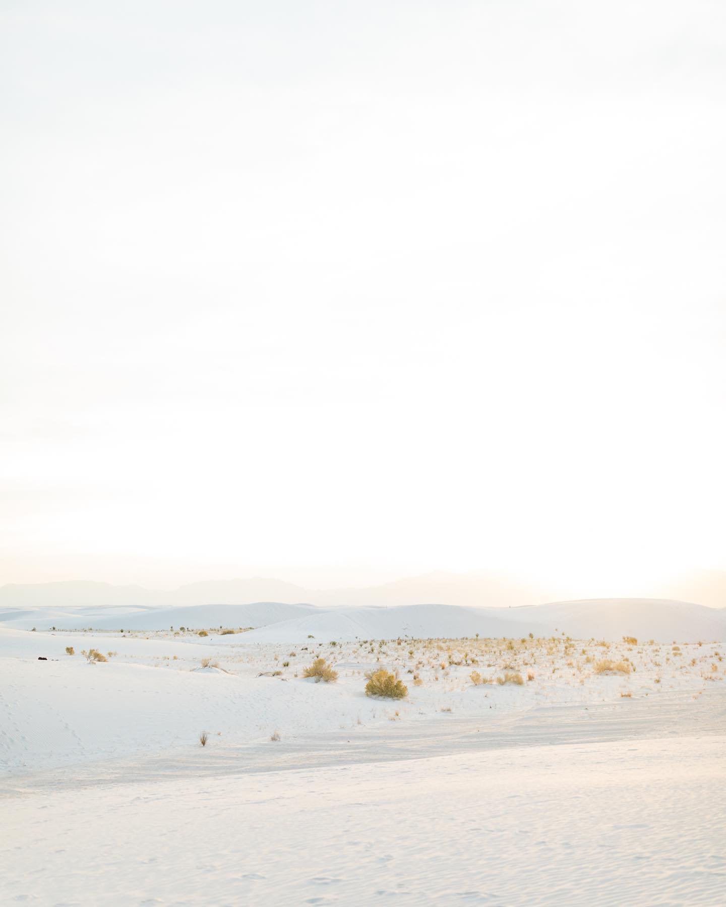 Landscape snaps to celebrate our beautiful Earth 🌍