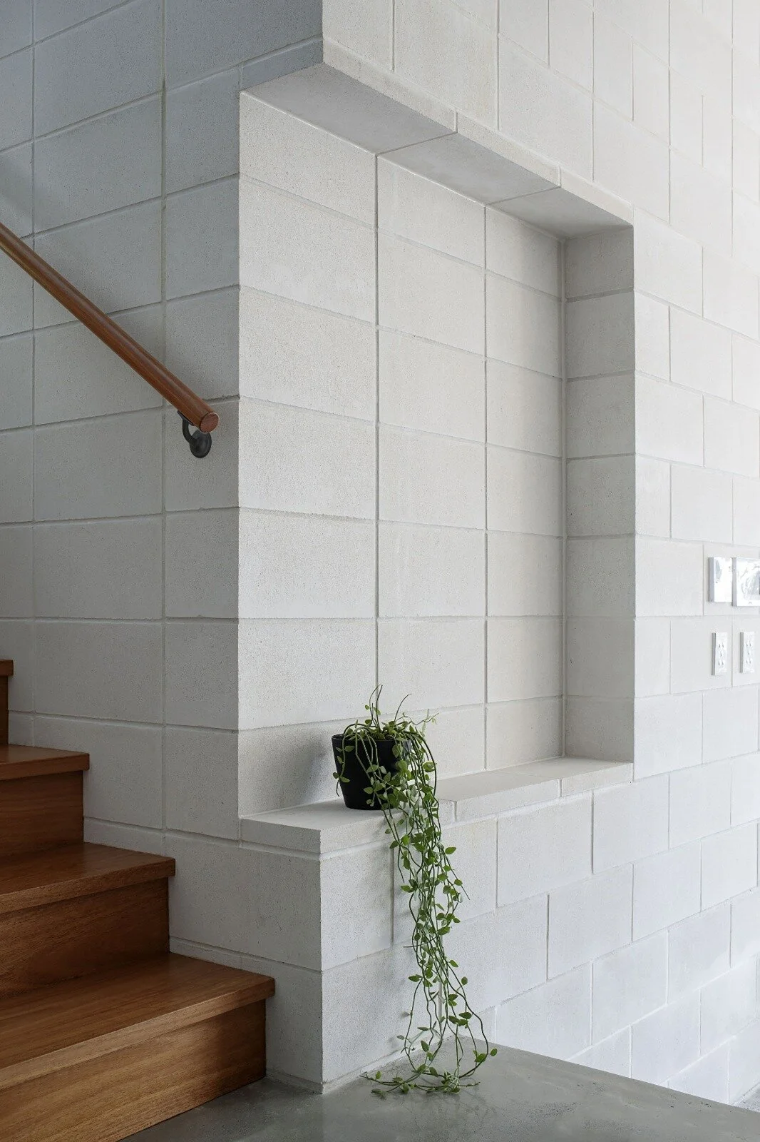 WhatsApp Image 2020-08-12 at 11.50.34 AM.jpeg