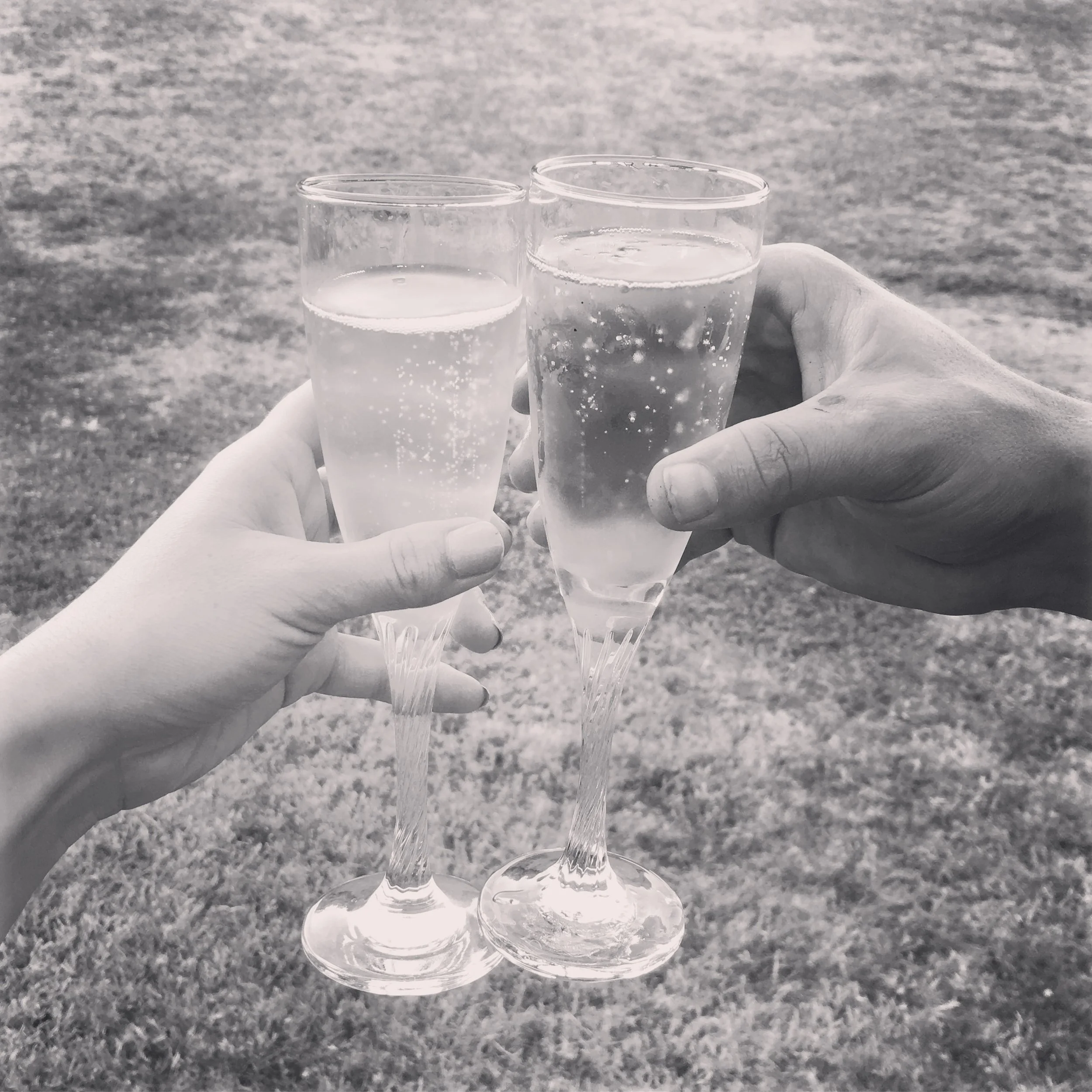 Changes Coming to Momma Mojito