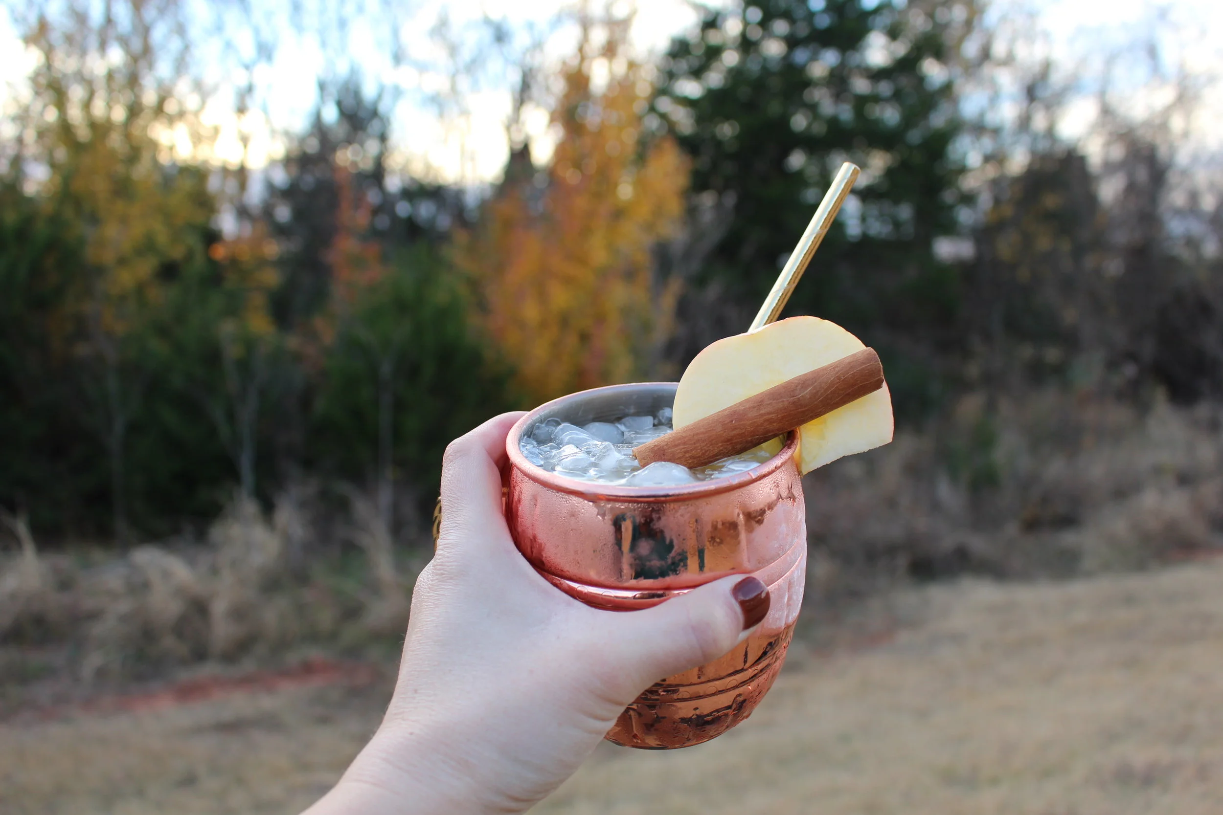 It's Friday Cocktail Time!! The Marooned Mule Edition!