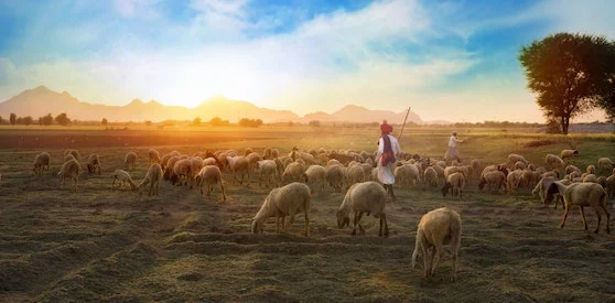 Pastoral Landscape.jpg