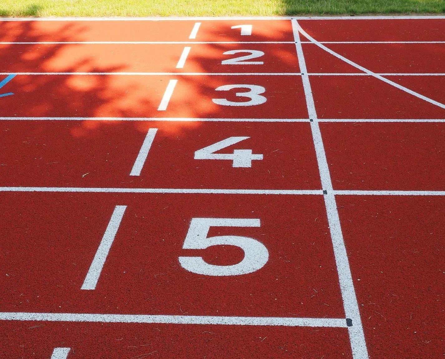 5 Levels of Obedience Tool