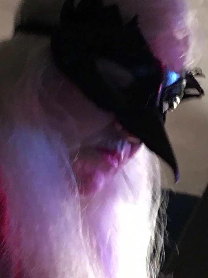 BirdMaskWinchester.jpg