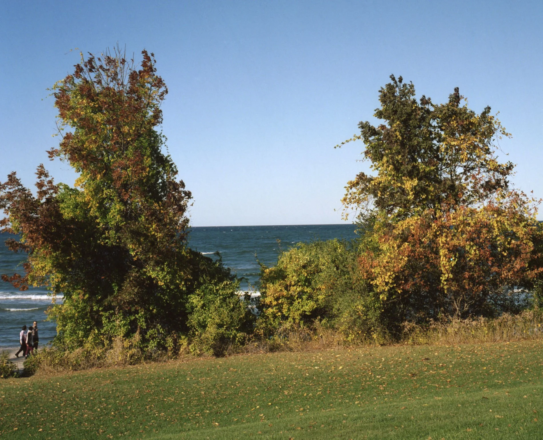 2025-10-lakeontario-durand-1.jpg
