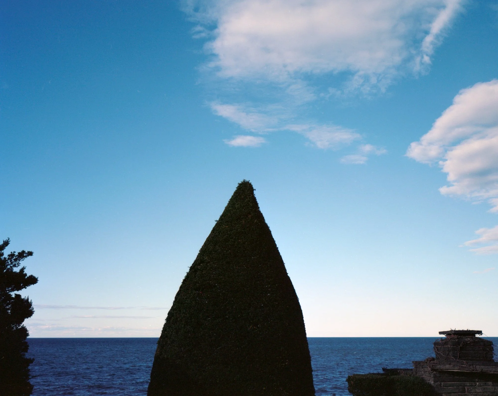 HiddenSidewalk-LakeOntario-hedge.jpg