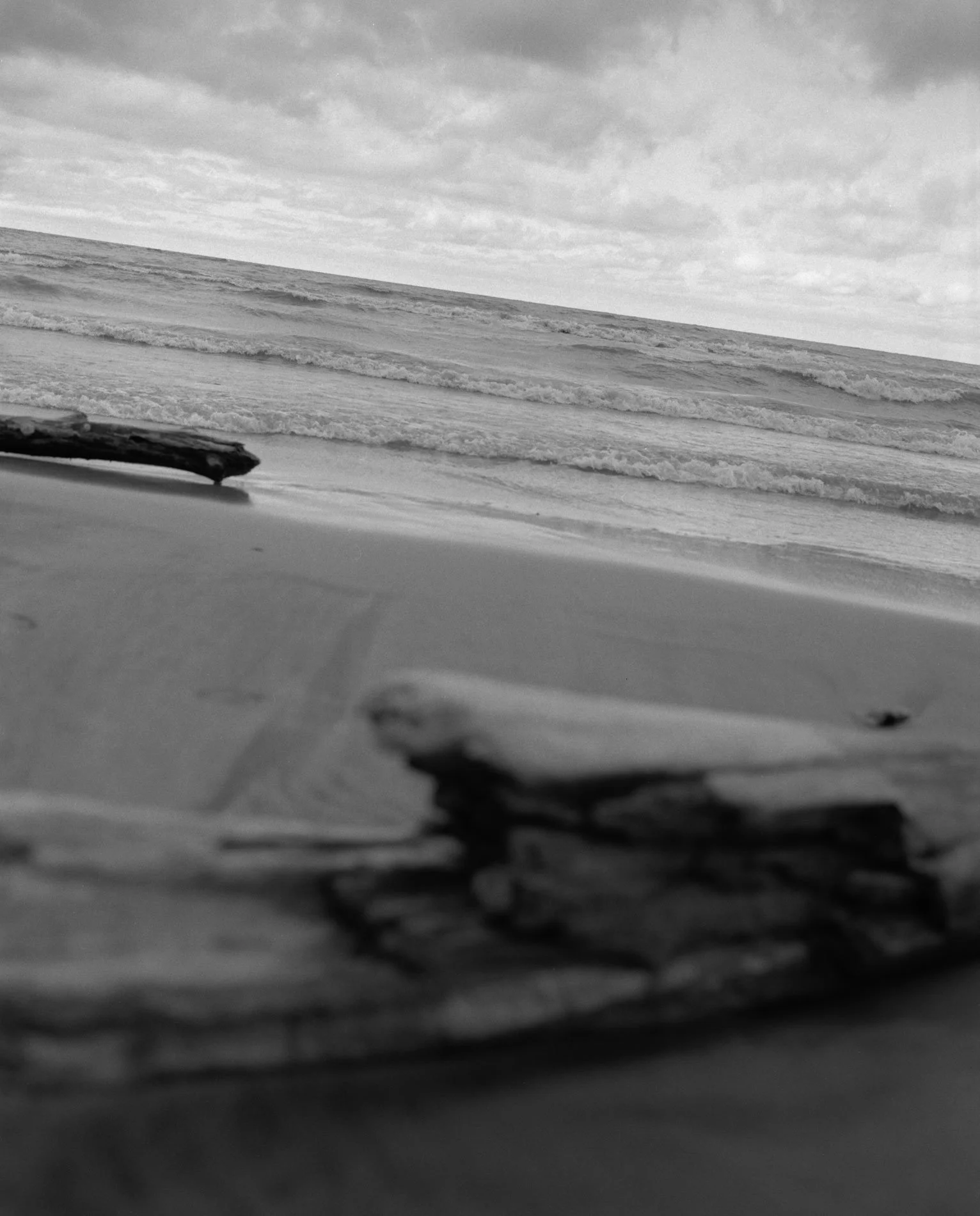 26-3-lkontario-durand-driftwood.jpg
