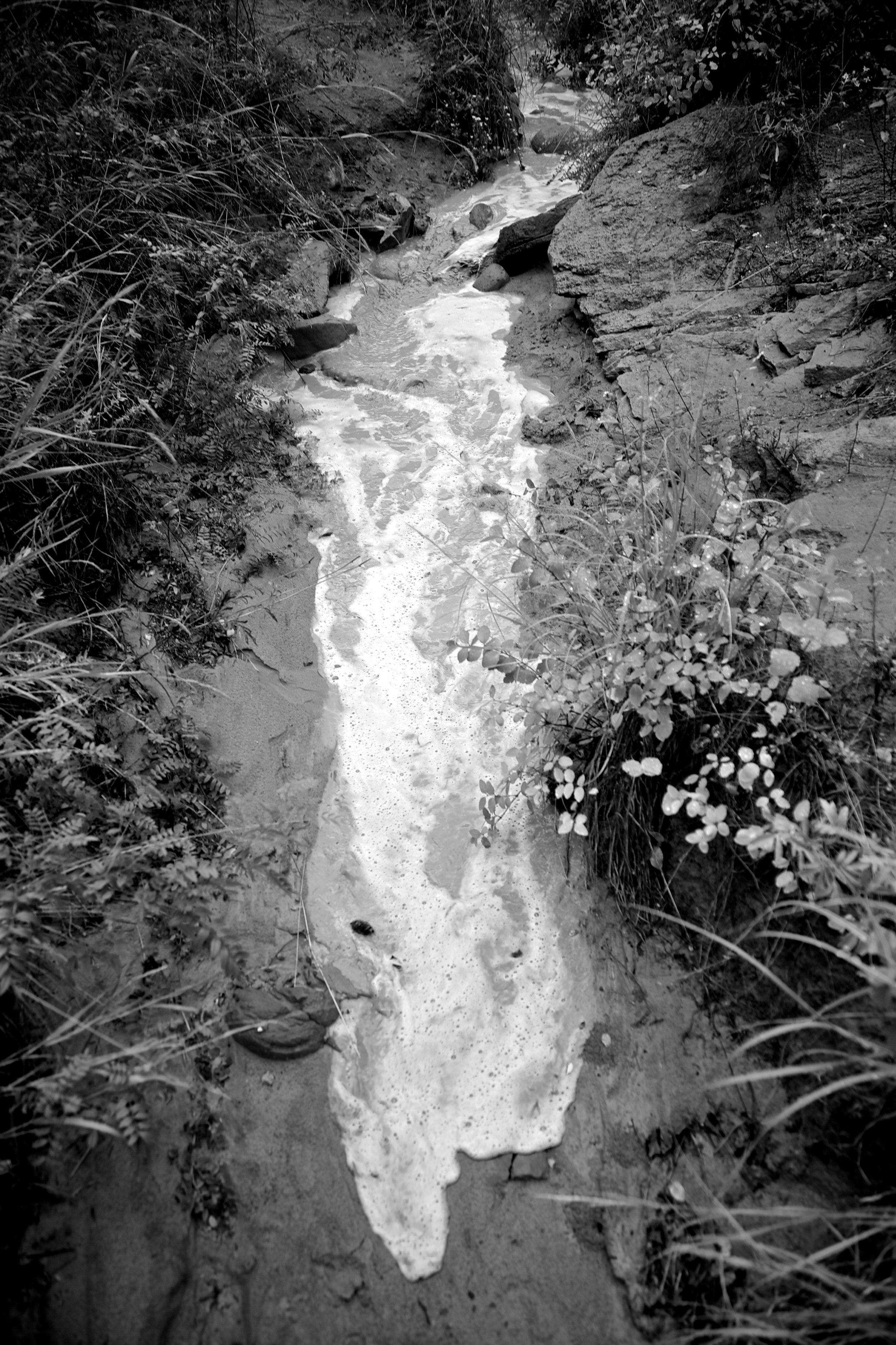 Flash Flood at Eagle Creek