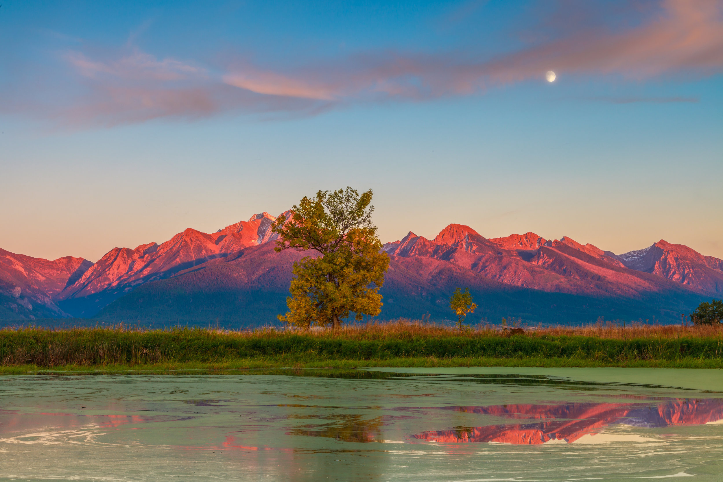 Mission Mountains from Nine Pipe NWR, MT