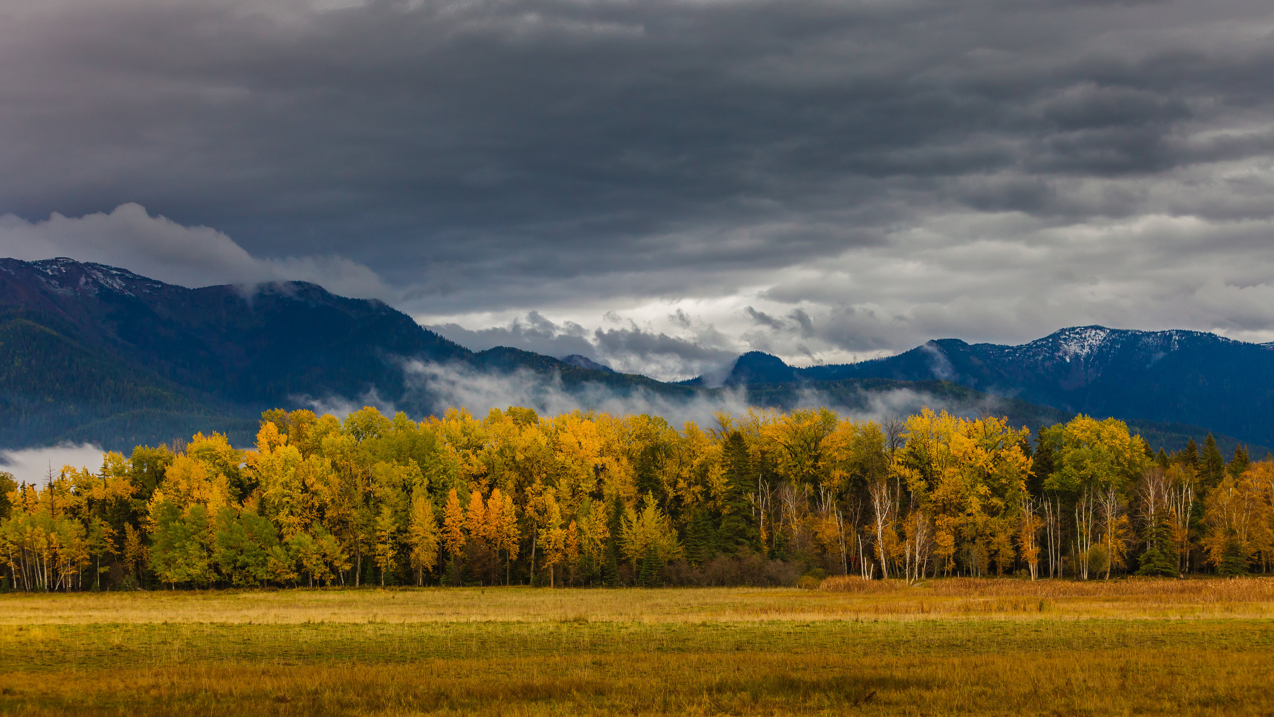 Swan Valley, MT