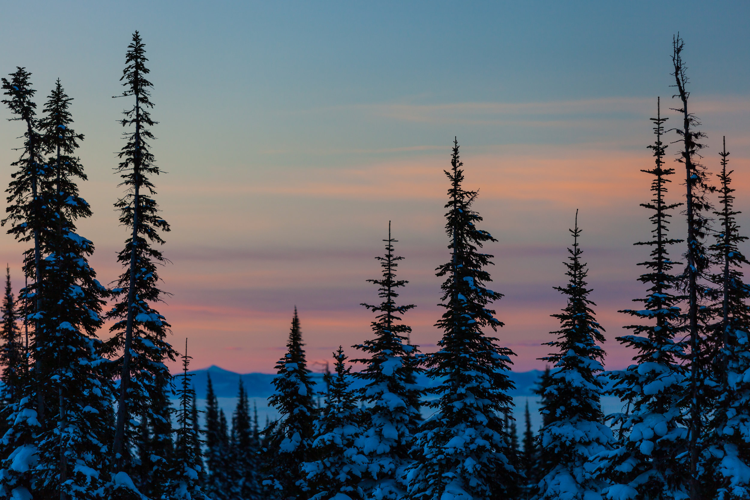 Blacktail Mountain, MT