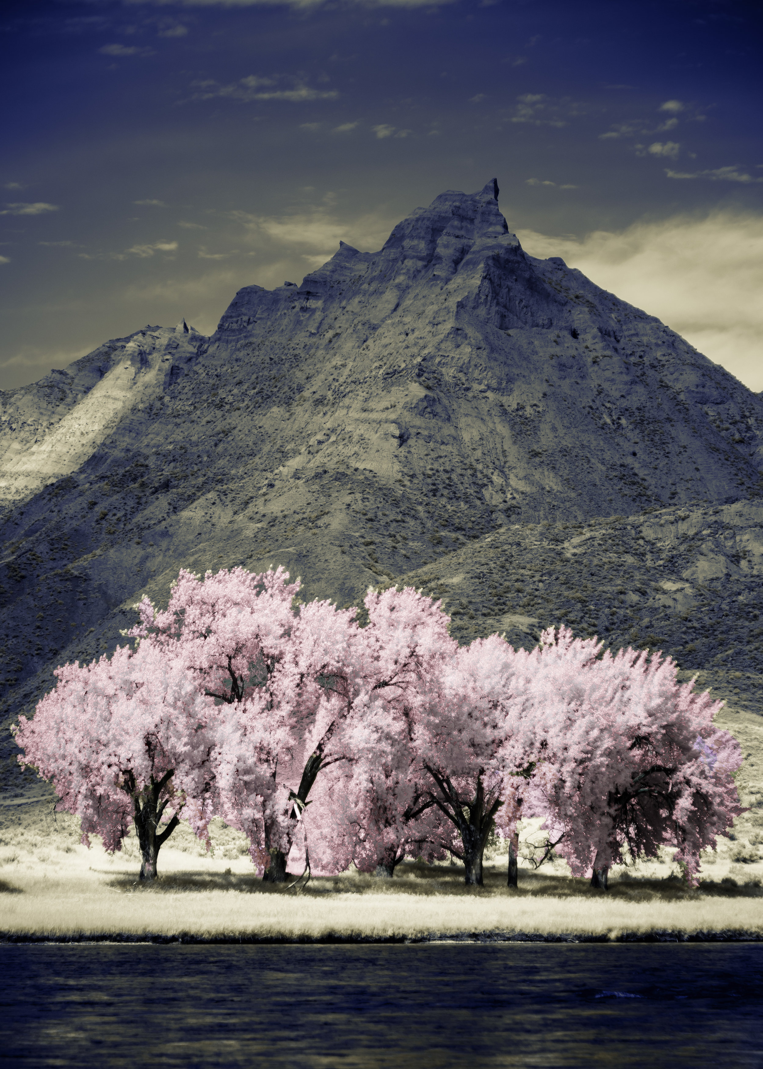 View from the Hagadone Homestead in Infrared