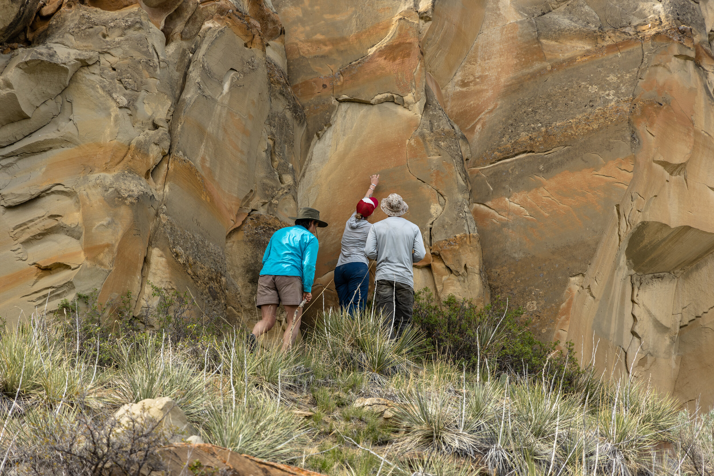 Pelican Pictograph Hunt