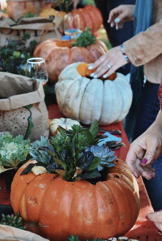 Screenshot 2024-04-05 at 4.41.27 PM.png