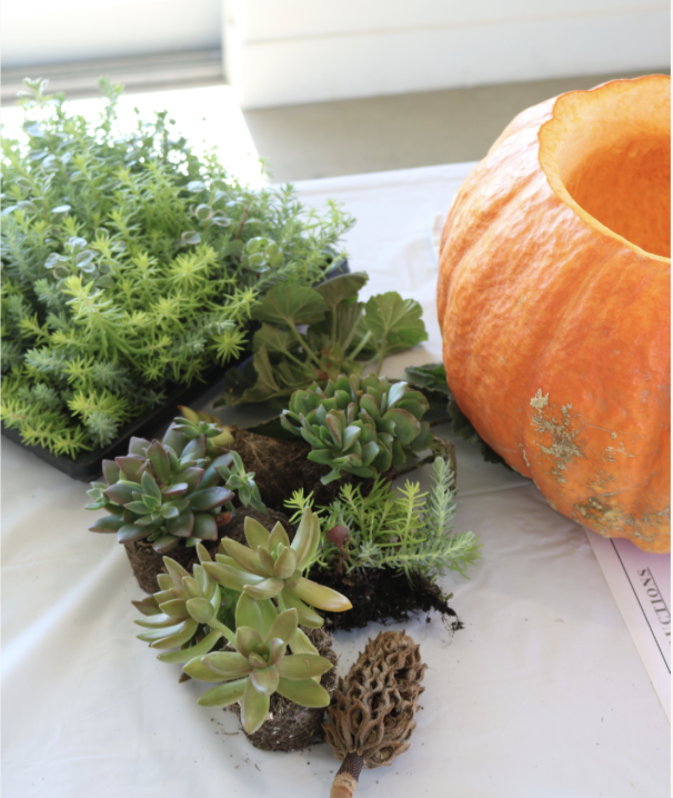 Screenshot 2023-10-24 at 9.23.17 AM.png