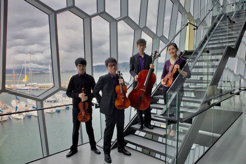 Performance at Harpa Concert Hall in Iceland (2017)