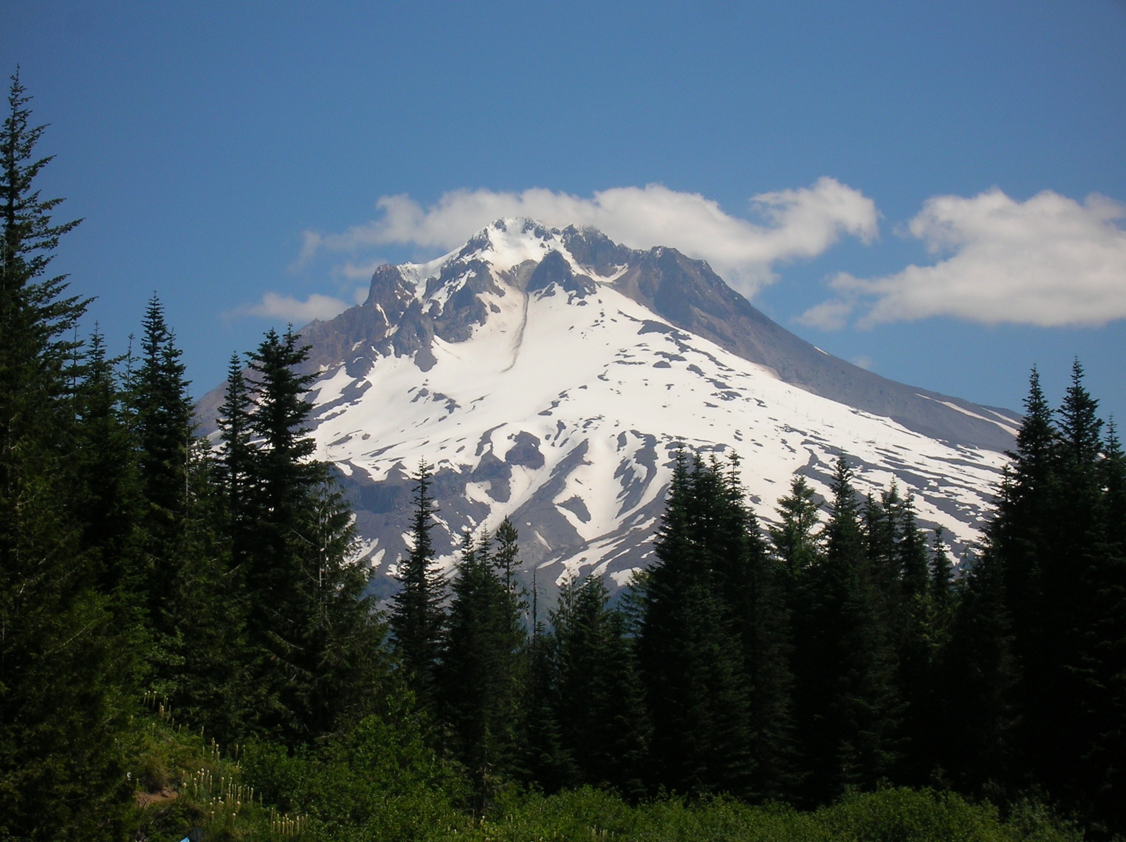 DSCN1895.jpg