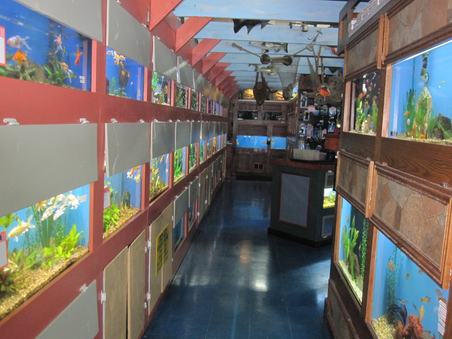 Fish Room — Animal Krackers Pet Center