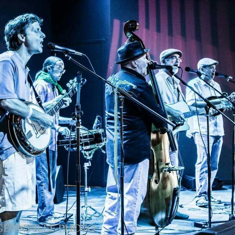 mcgovern_stringband.jpg