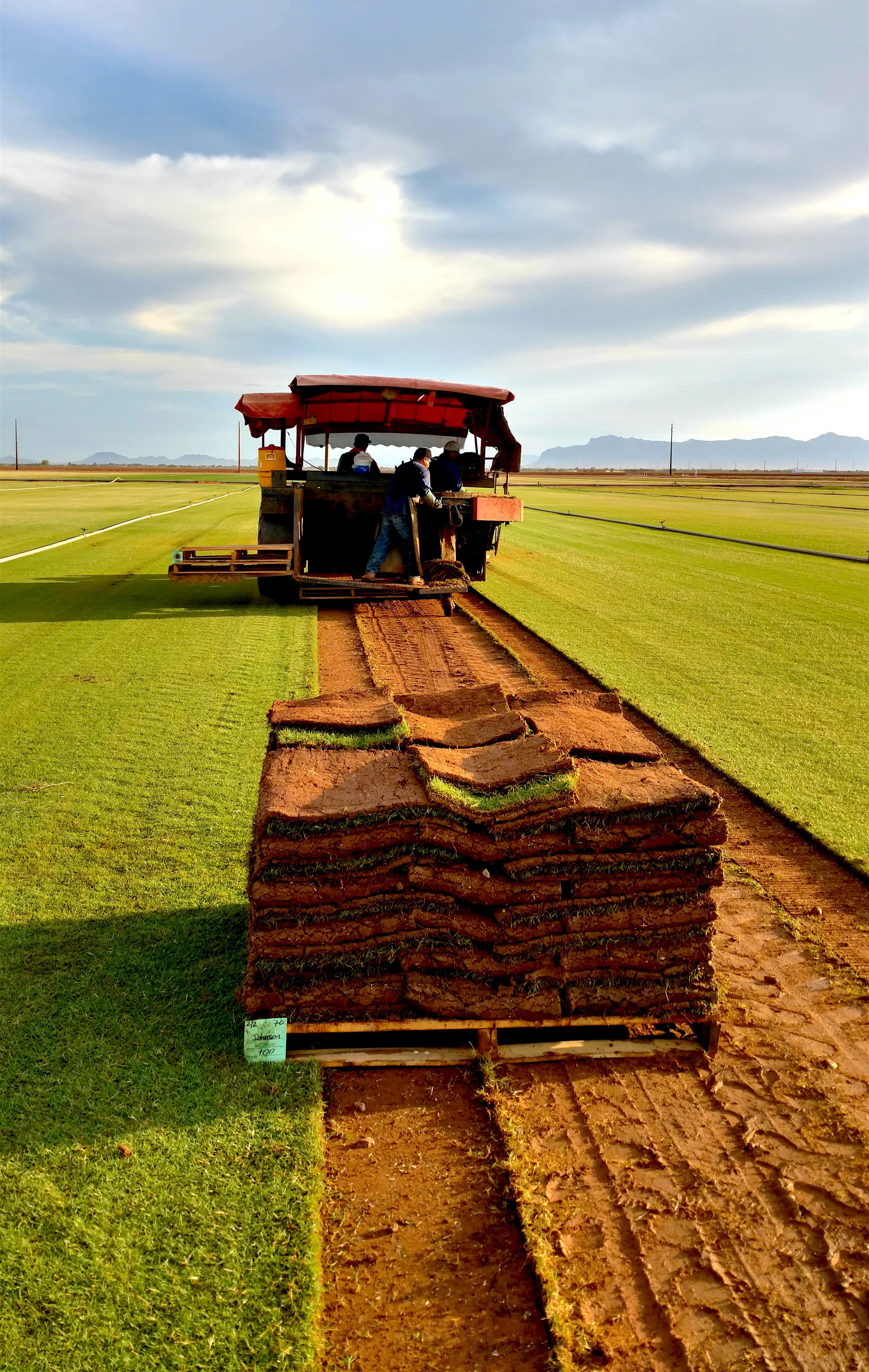 BrooksTurf Harvest.jpg