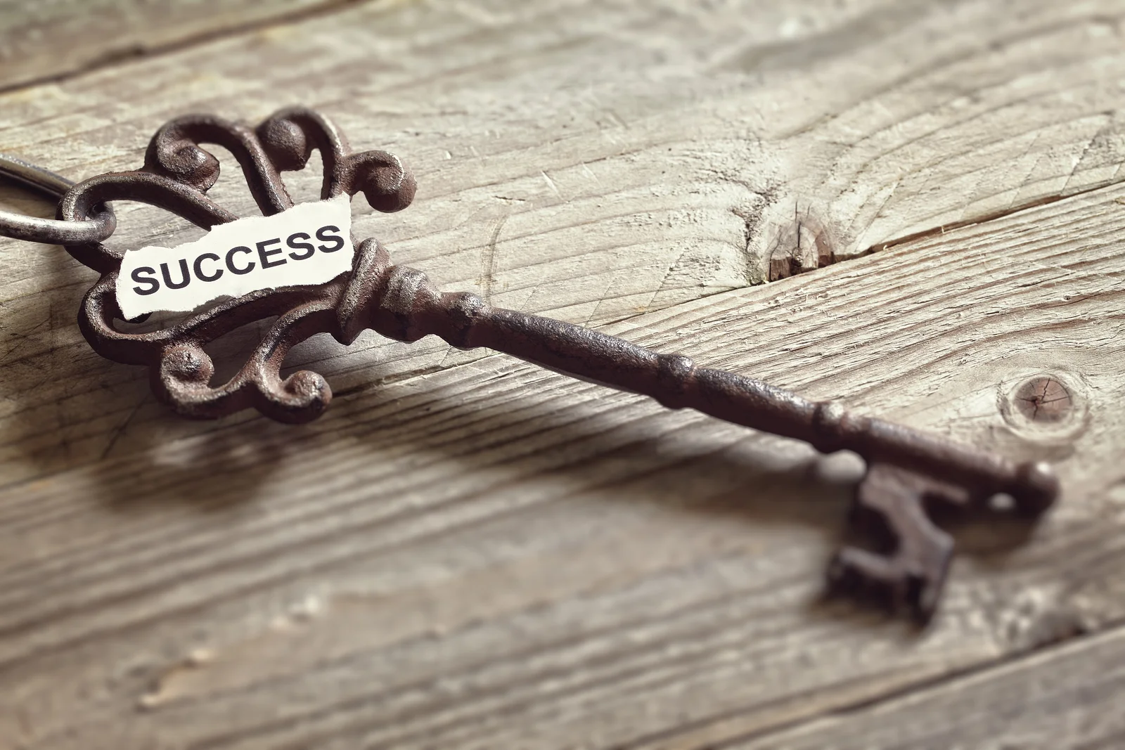 Instant Success Series - 2hrs 20min