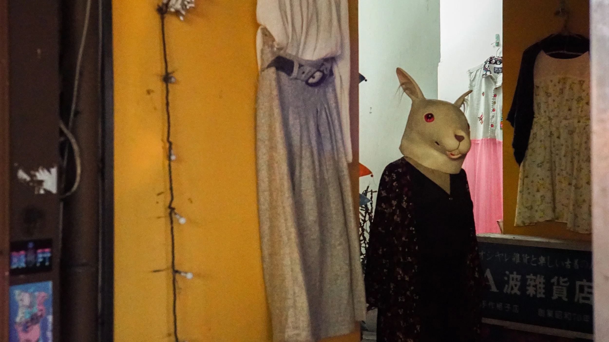 DSC07895.jpg