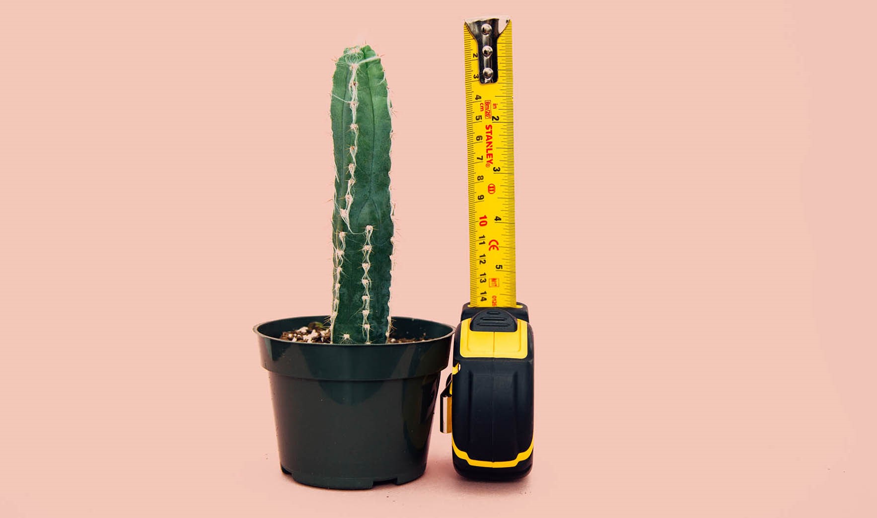 posted business October 2018 newsletter