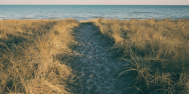 EPA newsletter February 2020