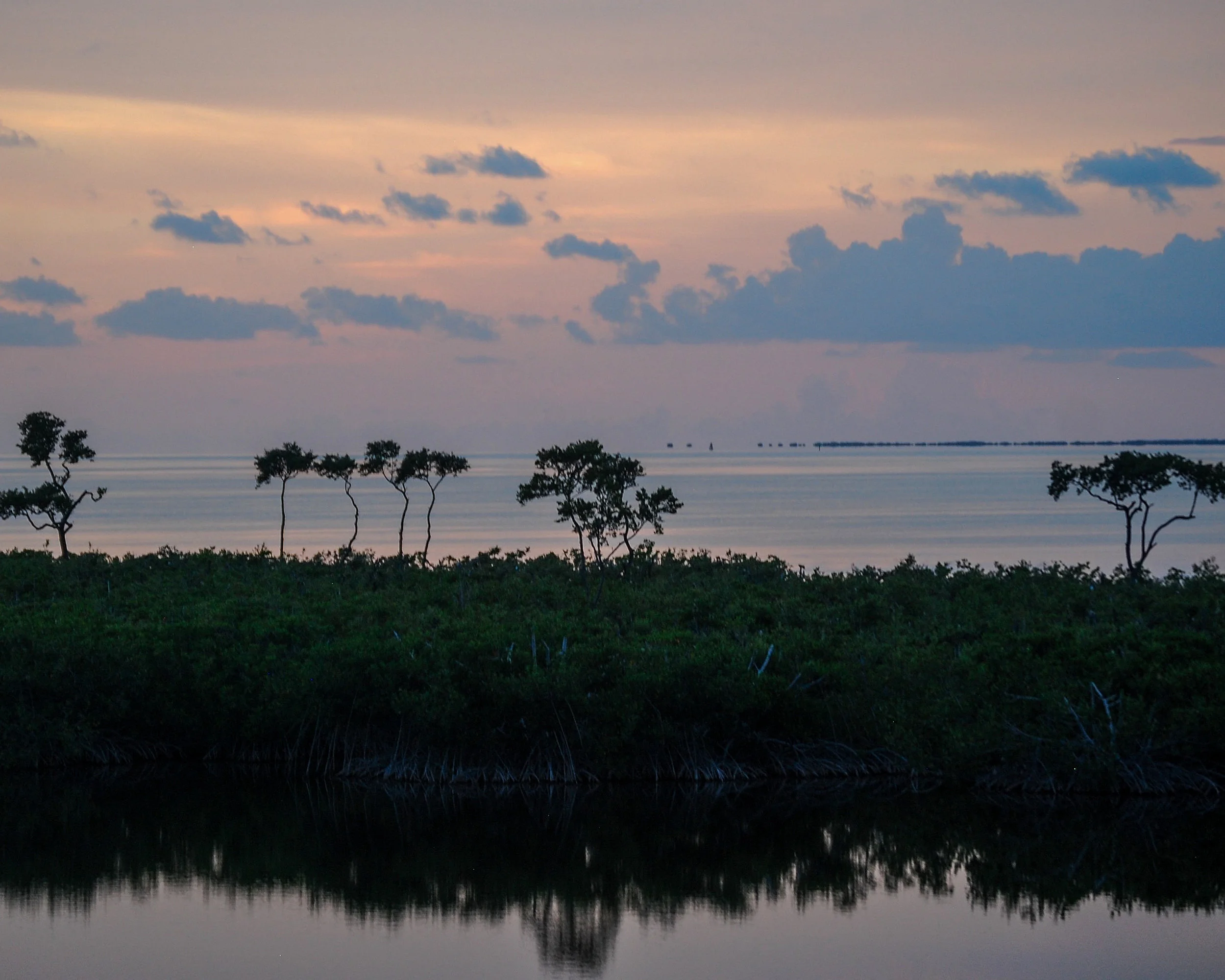 DSC_0704.jpg