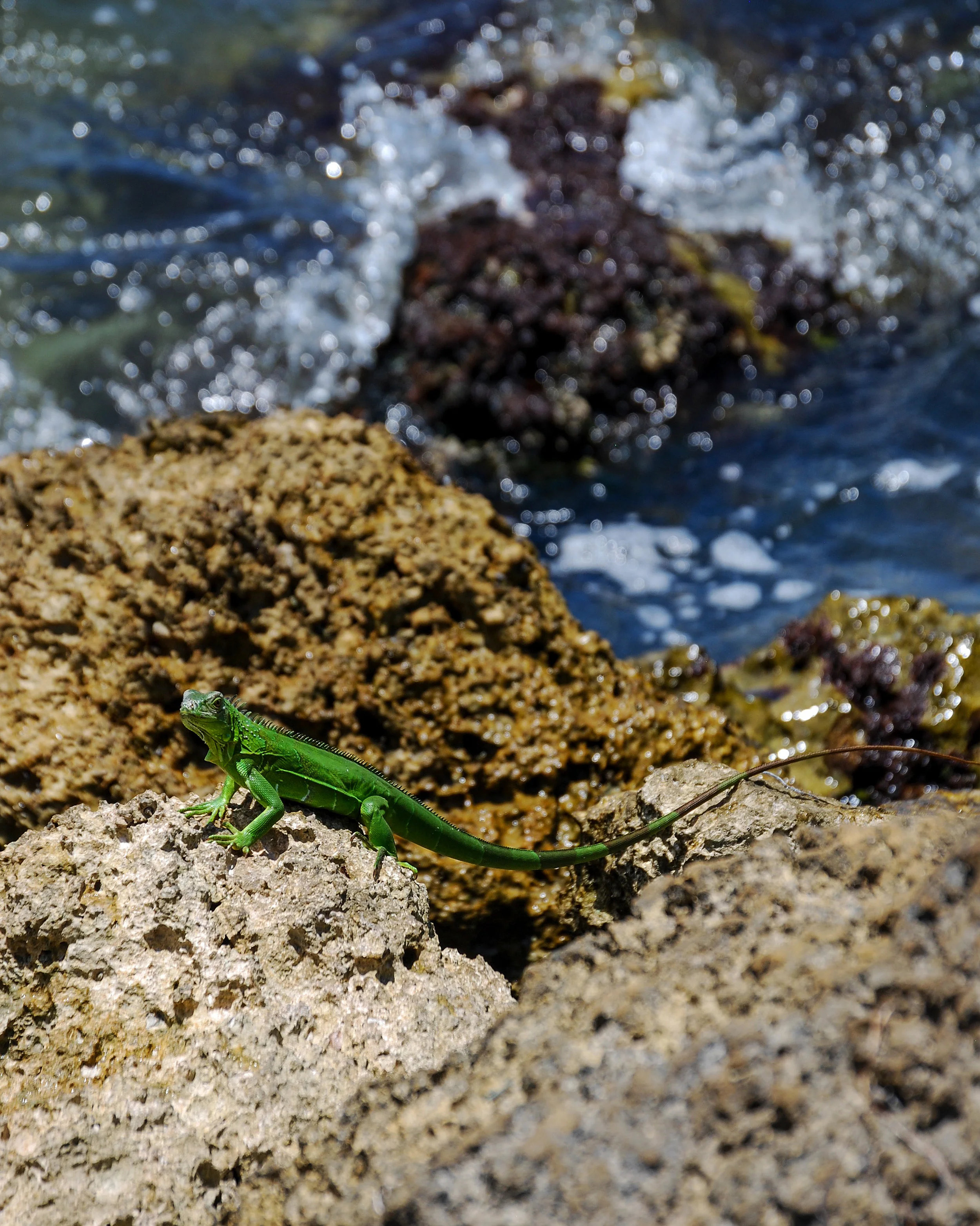DSC_0755.jpg