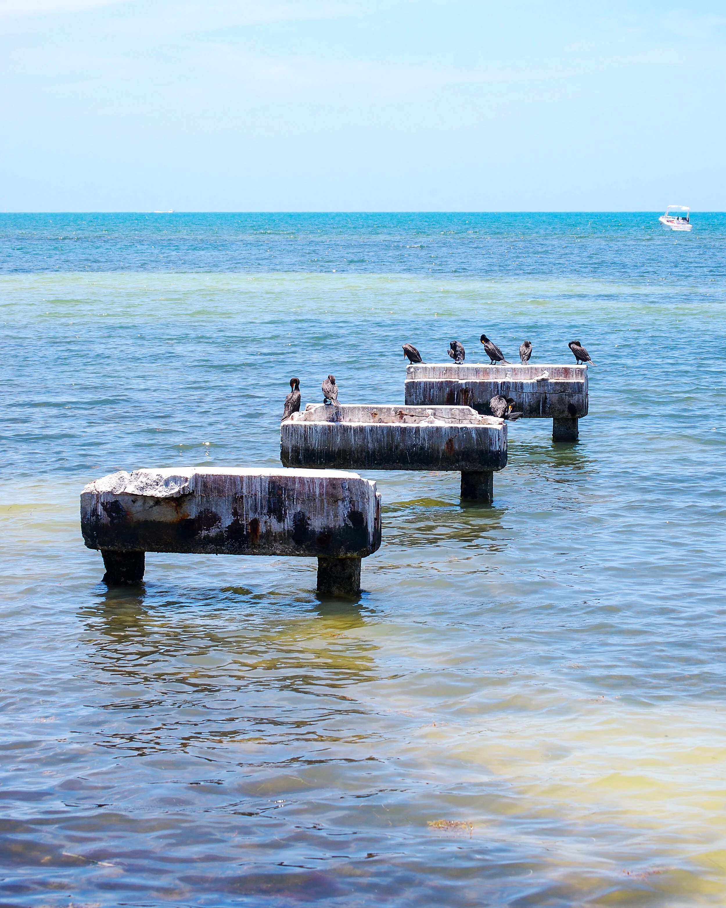 DSC_0785.jpg