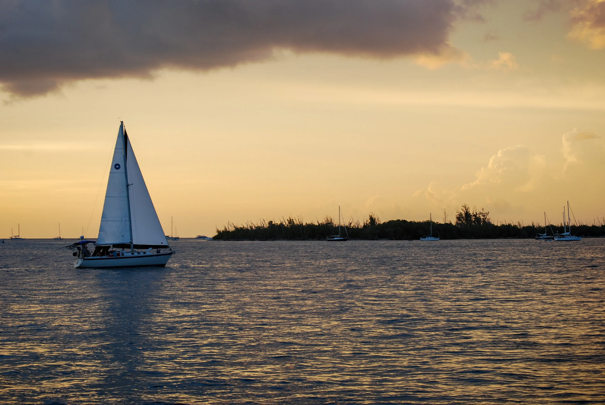 DSC_0851.jpg